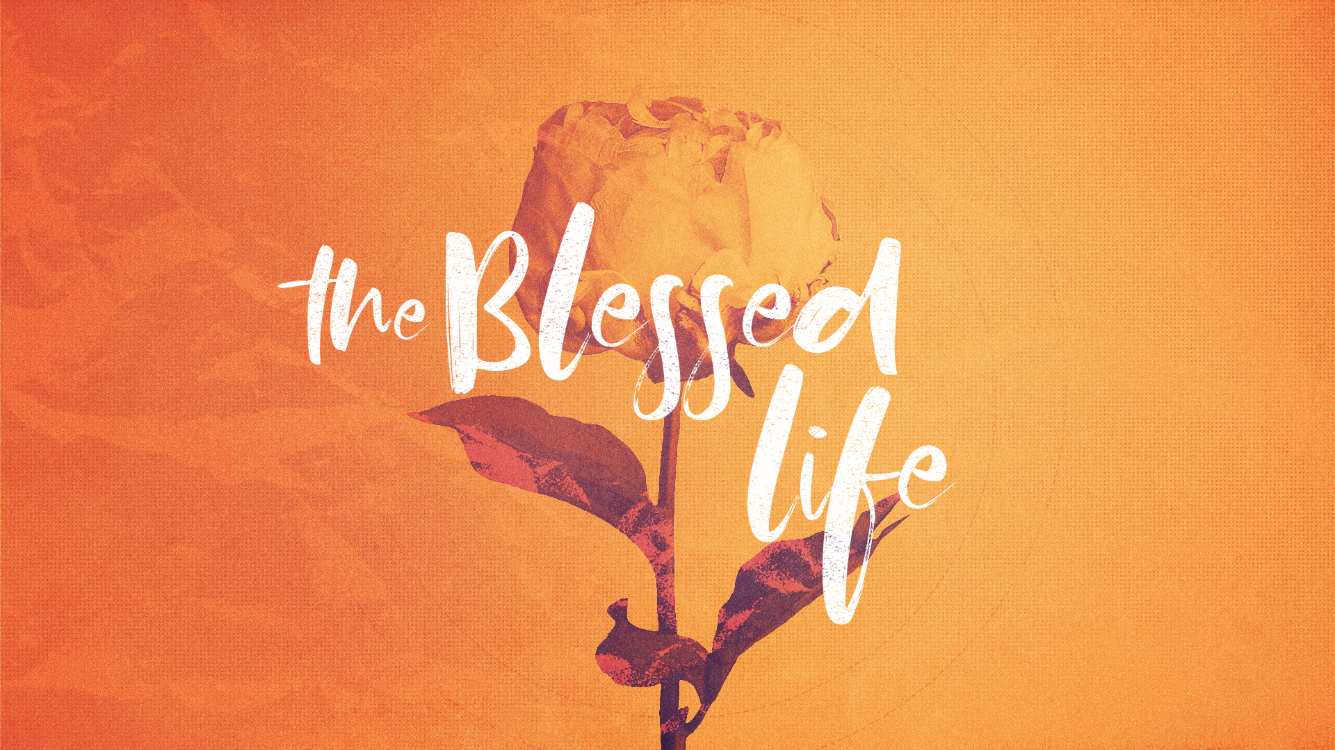 The Blessed Life (Audio)